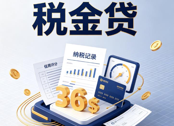 苏州张家港企业税贷|苏州张家港企业设备回租|苏州张家港税贷过桥